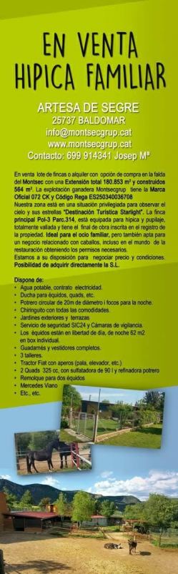 El Pedraforca al fons i la Senyera
